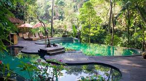 Ubud Wellness Retreats